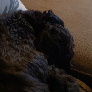 Meet your Posher, Gary